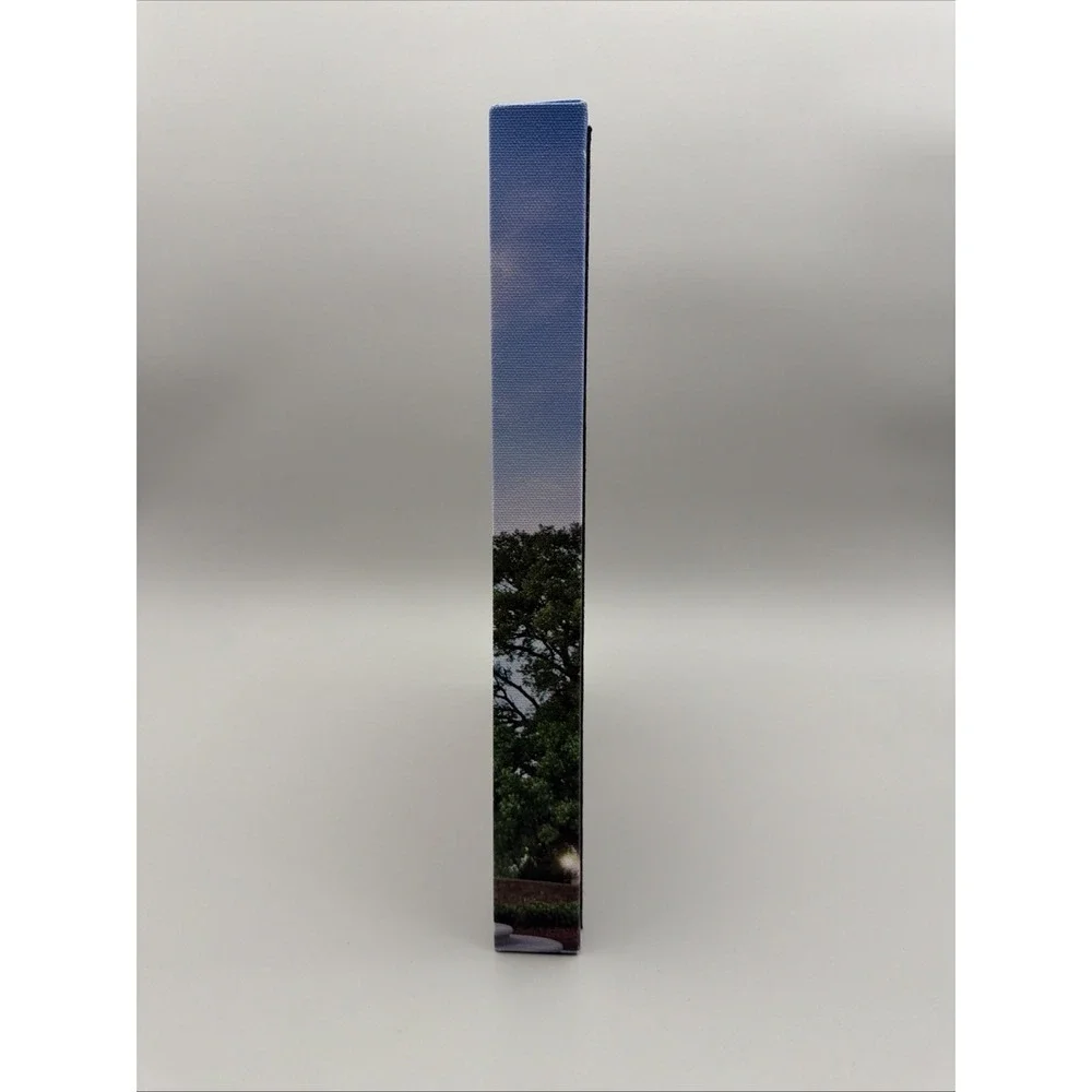 NCAA Tulsa University Bayless Plaza Canvas 12
